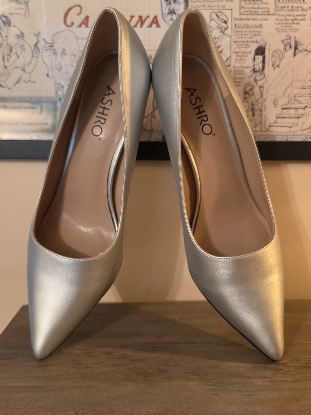 Ashro Metallic Silver Pointed-Toe Pumps